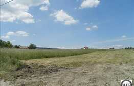 Vanzare teren, 500 mp, front stradal 24 ml, regim inaltime P+2, zona linistita!