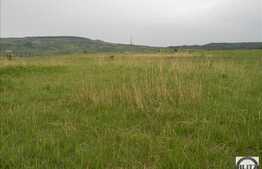 Vanzare teren 2900 mp, zona linistita de case si vile