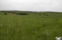 Vanzare teren 2900 mp, zona linistita de case si vile