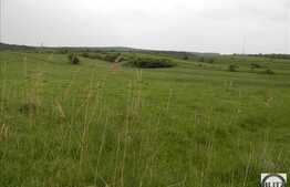 Vanzare teren 2900 mp, zona linistita de case si vile