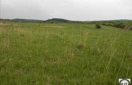 Vanzare teren 2900 mp, zona linistita de case si vile