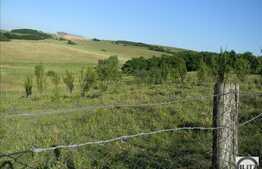 Vanzare teren extravilan, 6000 mp zona Sopor