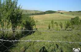 Vanzare teren extravilan, 6000 mp zona Sopor