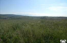 Vanzare teren extravilan, 6000 mp zona Sopor