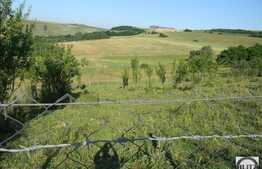 Vanzare teren extravilan, 6000 mp zona Sopor