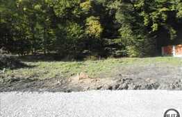 Teren 587 mp, front 25 ml, PUZ, PUD, CF, zona linisita!