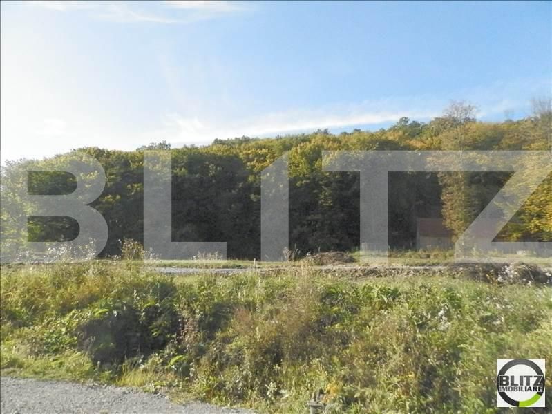 Teren de vânzare Manastur - 23301TV | BLITZ Cluj-Napoca | Poza11