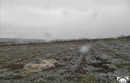 Teren pentru hala industriala, zona strazii Traian Vuia, 13300 mp