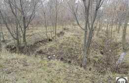 Teren de vanzare, 2292 mp, cu front la strada de 13,75 ml, zona Someseni!