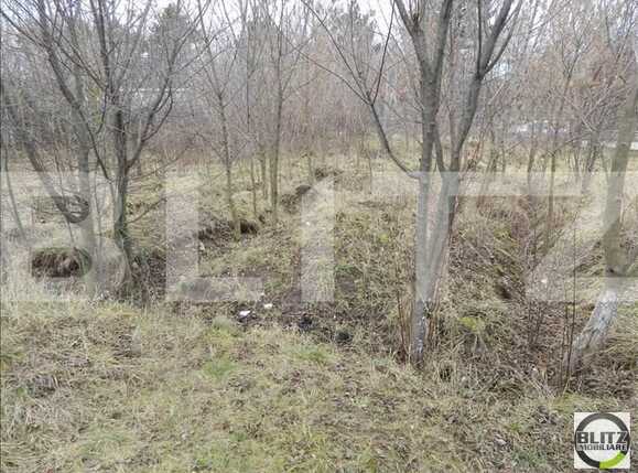 Teren de vânzare Someseni - 23317TV | BLITZ Cluj-Napoca | Poza7