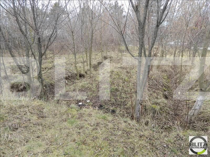 Teren de vânzare Someseni - 23317TV | BLITZ Cluj-Napoca | Poza7