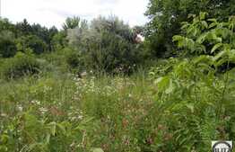 Vanzare teren 3000 mp, front stradal 35 ml, zona in curs de dezvoltare!