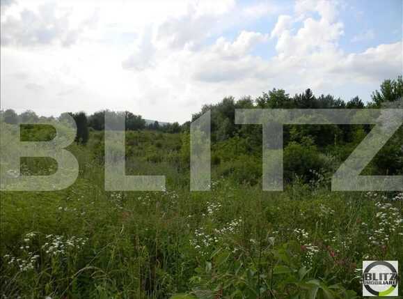 Teren de vânzare Sopor - 23318TV | BLITZ Cluj-Napoca | Poza7