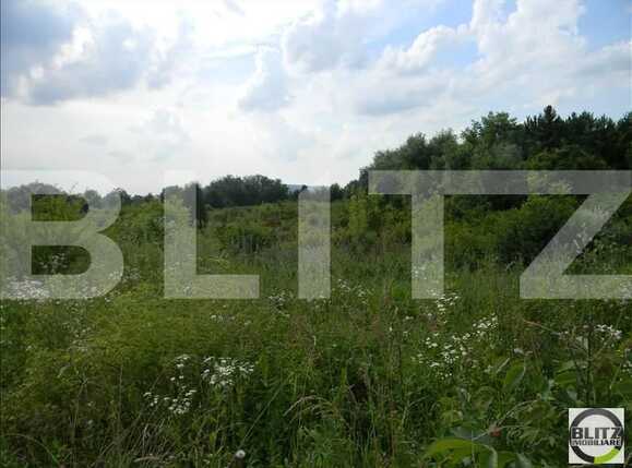 Teren de vânzare Sopor - 23318TV | BLITZ Cluj-Napoca | Poza3