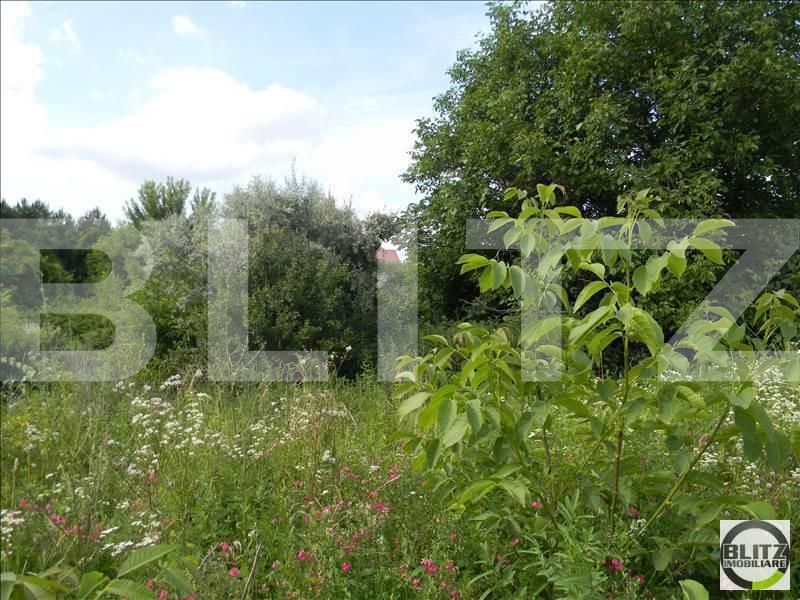 Teren de vânzare Sopor - 23318TV | BLITZ Cluj-Napoca | Poza2