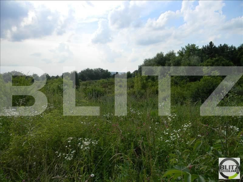 Teren de vânzare Sopor - 23318TV | BLITZ Cluj-Napoca | Poza3