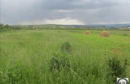 Vanzare teren 3057 mp in Someseni, 2 fronturi, zona cu acces facil