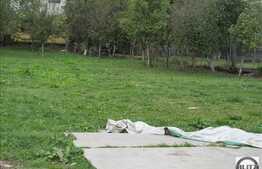 Teren 1585 mp, utilitati la front, zona linistita