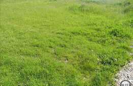 Vanzare teren 2150 mp, PUZ in lucru, zona linistita de case si vile