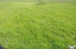 Vanzare teren 2150 mp, PUZ in lucru, zona linistita de case si vile