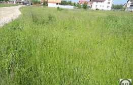 Vanzare teren 2150 mp, PUZ in lucru, zona linistita de case si vile