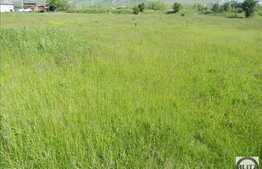 Vanzare teren 2150 mp, PUZ in lucru, zona linistita de case si vile