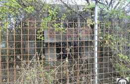 Teren vanzare 730 mp, front 24 ml, utilitati la front, zona Gradinii Botanice!