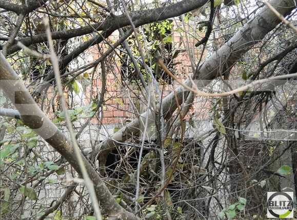 Teren de vânzare Zorilor - 23349TV | BLITZ Cluj-Napoca | Poza3