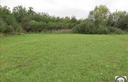 Teren intravilan, 10000 mp, utilitati la front, zona Calea Turzii