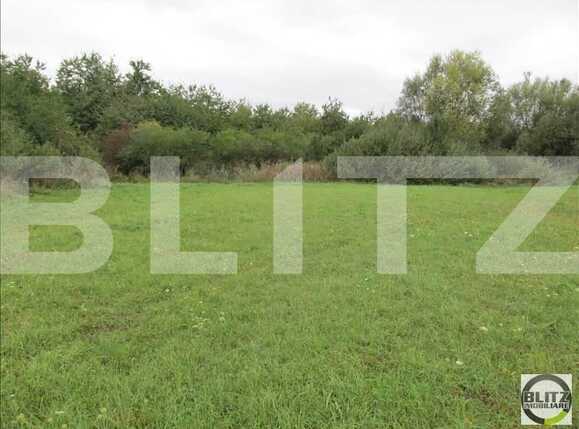 Teren de vânzare Zorilor - 23355TV | BLITZ Cluj-Napoca | Poza4