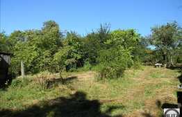 Vanzare teren 8000 mp, front stradal 16 ml,  PUZ in lucru!