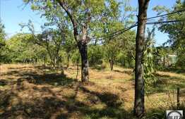 Vanzare teren 8000 mp, front stradal 16 ml,  PUZ in lucru!