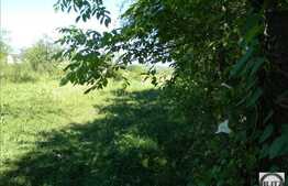 Vanzare teren 8000 mp, front stradal 16 ml,  PUZ in lucru!