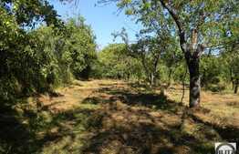 Vanzare teren 8000 mp, front stradal 16 ml,  PUZ in lucru!