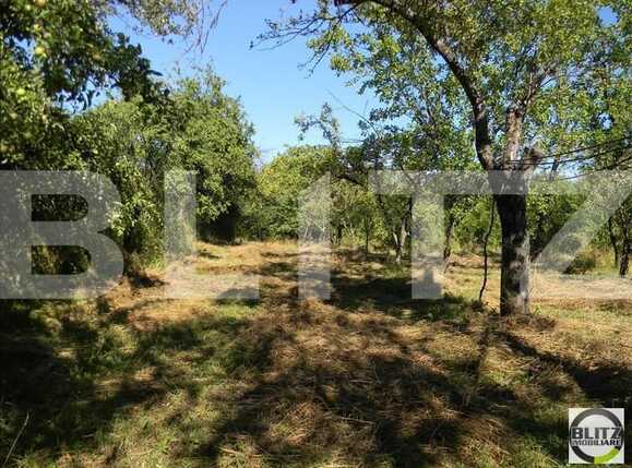 Teren de vânzare Zorilor - 23358TV | BLITZ Cluj-Napoca | Poza2