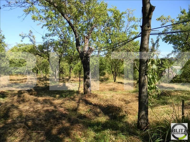 Teren de vânzare Zorilor - 23358TV | BLITZ Cluj-Napoca | Poza3