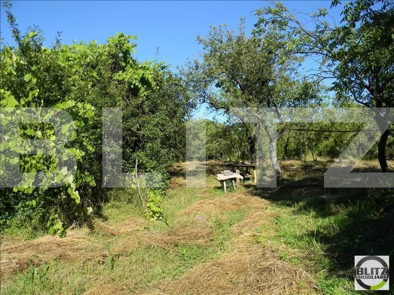 Teren de vânzare Zorilor - 23358TV | BLITZ Cluj-Napoca | Poza5