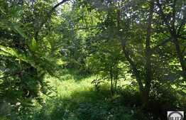 Vanzare teren 814 mp, Extras de Carte Funciara, zona Gradinii Botanice