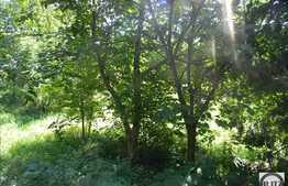 Vanzare teren 814 mp, Extras de Carte Funciara, zona Gradinii Botanice