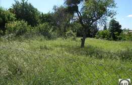 Vanzare teren 1696 mp, front stradal 27 ml, zona linistita de case/vile