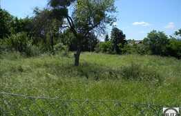 Vanzare teren 1696 mp, front stradal 27 ml, zona linistita de case/vile