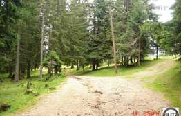 Oportunitate in BAISOARA !!