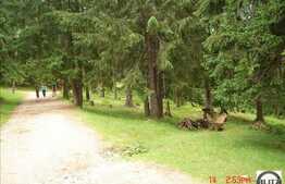 Oportunitate in BAISOARA !!