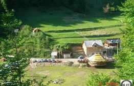 Tern Tarnita  situat la coada lacului.