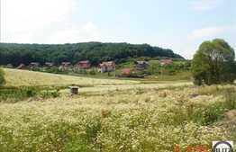 PRETABIL CONSTRUCTIE PROIECT REZIDENTIAL, REPREZENTANTE , SPATII COMERCIALE !!!