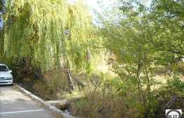 Locatie retrasa dar conectata la viata orasului!