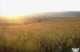 Teren pretabil pentru constructie de casa ! Zona linistita cu acces usor.