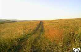 Teren pretabil pentru constructie de casa ! Zona linistita cu acces usor.