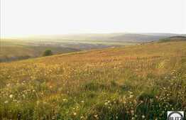 Teren pretabil pentru constructie de casa ! Zona linistita cu acces usor.