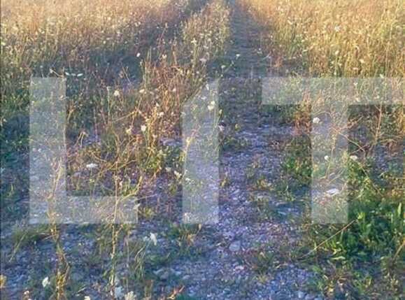 Teren de vânzare Andrei Mureşanu - 23374TV | BLITZ Cluj-Napoca | Poza6